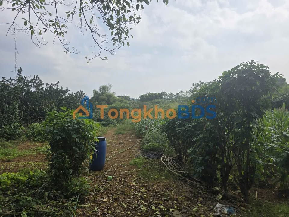 Đất nền Thôn Phú Yên Ba Vì 1.100m² - Đường ô tô tránh