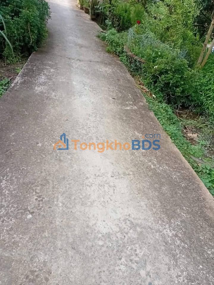 Đất Vĩnh Bình Chợ Lách 2.500m² 1,05 tỷ - Hạ tầng hoàn thiện