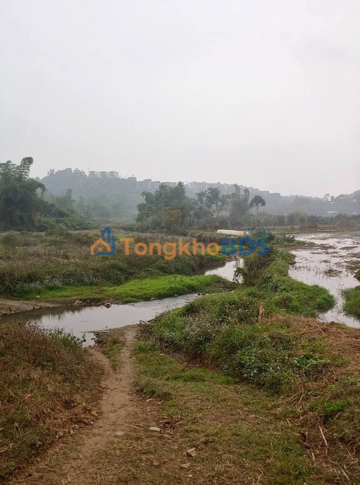 Đất nền Lương Sơn Hòa Bình 26ha thỏa thuận – Pháp lý rõ ràng