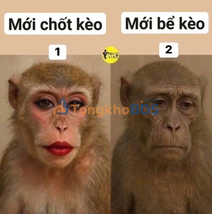 Nhà 5 tầng hẻm 5m Trần Quý, Quận 11 - Giá 6.5 tỷ, 31m²