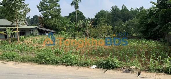 Đất Nền Cẩm Khê, Phú Thọ 104m² - Sổ Hồng Sẵn Sàng, Giá Hơn 1 Tỷ