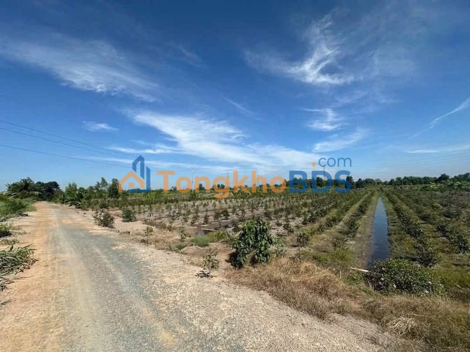 Đất vườn Bình Đức Bến Lức 990m² 899tr - Sổ đỏ chính chủ