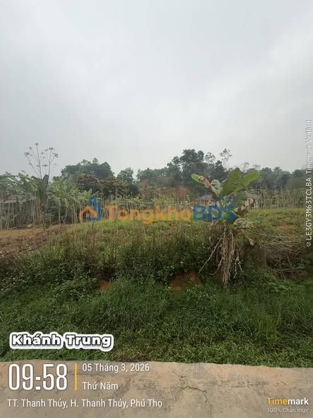 Đất Khu 1 Thanh Thủy 75m² 1 tỷ - Sổ đỏ chính chủ