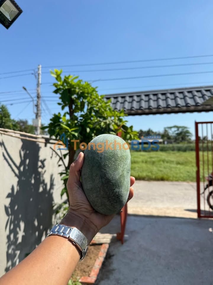 Đất thổ cư Phước Tân Hưng 125m² 420 triệu - Sổ đỏ chính chủ