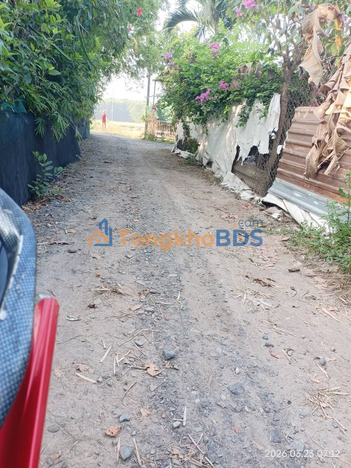 Đất Nền F0 Đức Hòa 135m² - 3 Lô Liền Kề Giá 800 Triệu/Lô