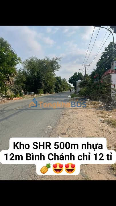 Kho Binh Chanh 502m² 12 tỷ - Hoạt động ngay, thu 23tr