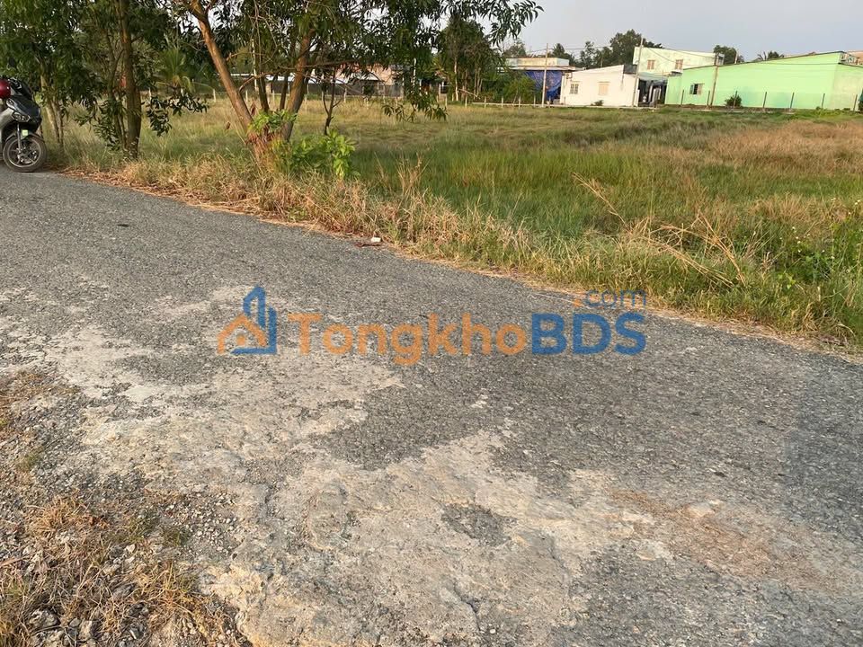 Farm Tân Nhựt Bình Chánh 1000m² 4 tỷ - Sổ đỏ chính chủ