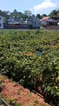 Đất Nền Đà Lạt - Lô Góc 100m² Đường Hàn Thuyên, P5 - 570 Triệu