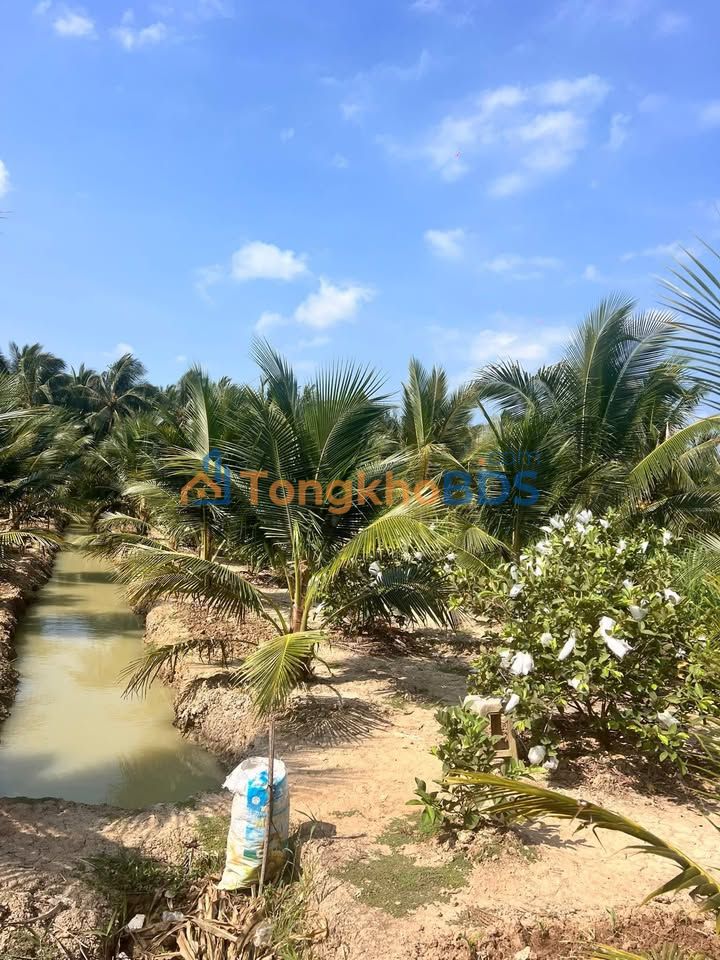 Đất nền Châu Hưng 1000m² 700 triệu - Đường ô tô