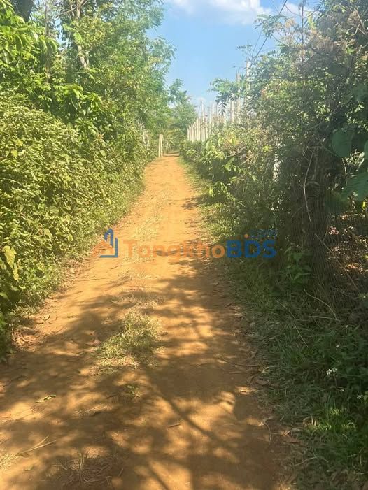 Đất Cư M'gar, Đắk Lắk - 2700m² Lô Góc, Sổ Hồng, Giá Tốt 980 Triệu