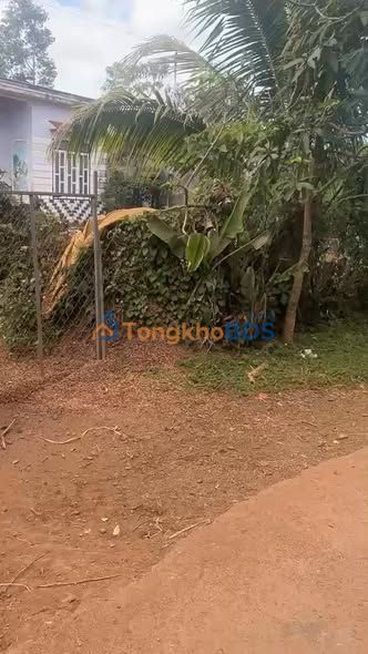 Đất nền EaTrol Phú Yên 450m² 49.5 tỷ - Đường to ô tô