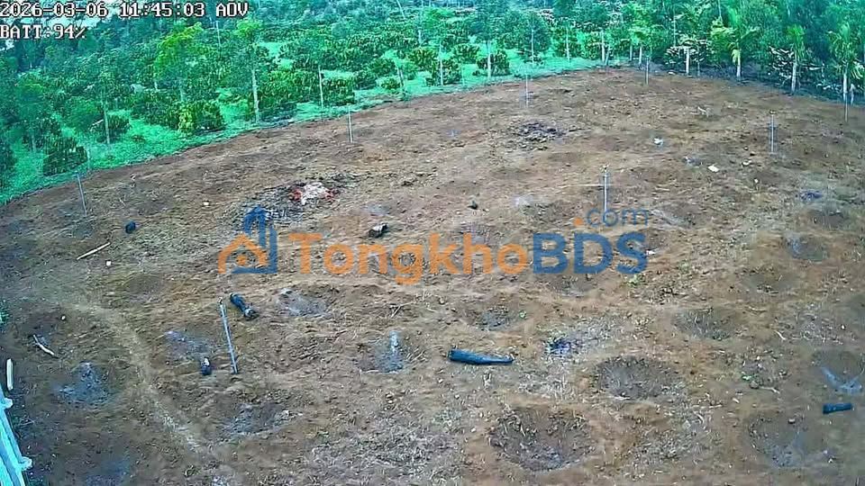 Đất nền Cư Dliê M'nông 576m² giá 759 triệu - Hạ tầng hoàn thiện