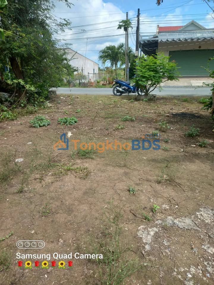 Đất mặt tiền Trà Cú 364m² 350-900 triệu - Đường to ô tô