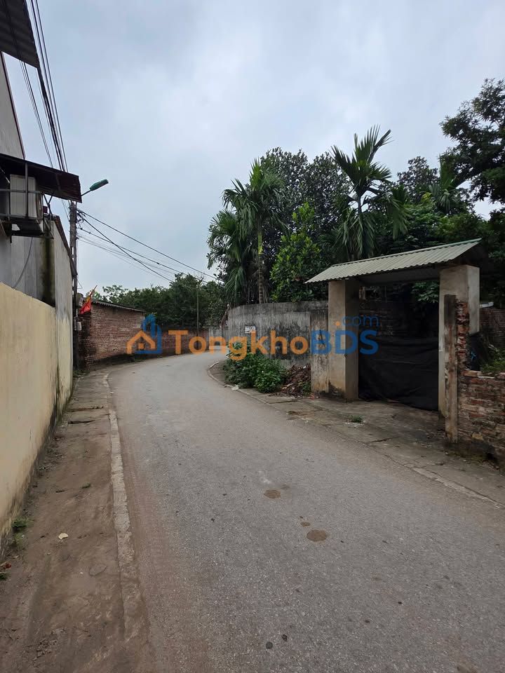 Đất thổ cư Ba Vì 100m² giá 2 tỷ - Sổ đỏ chính chủ