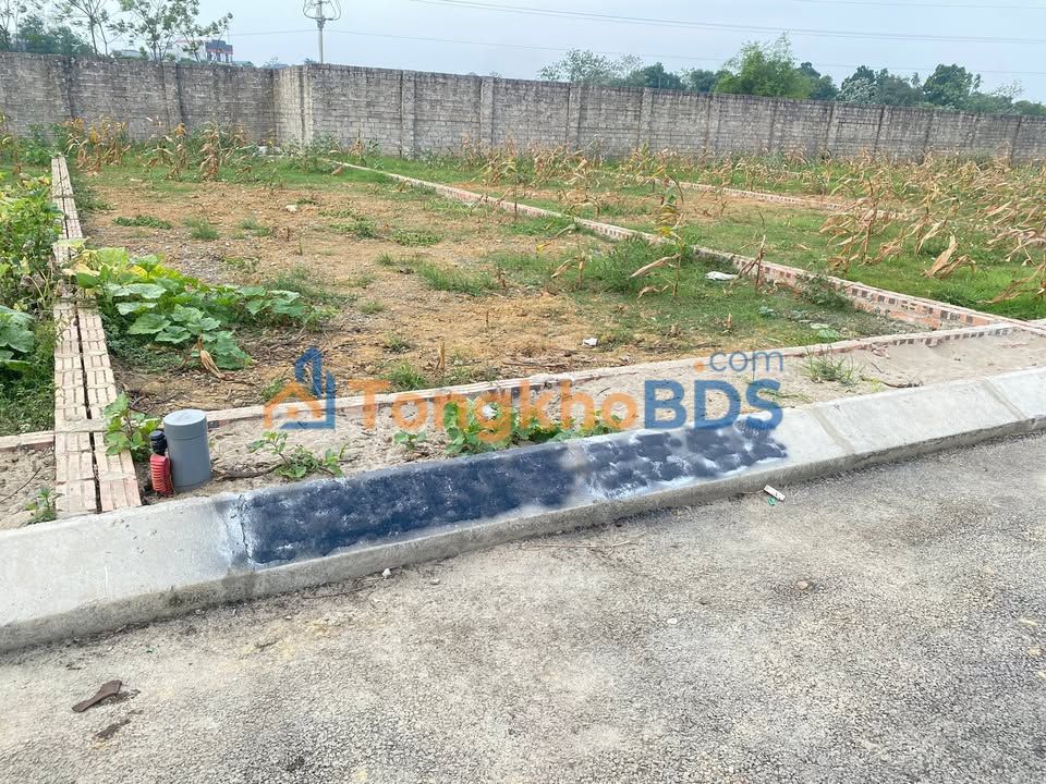 Đất 100m² Sổ Hồng Sẵn Sàng - Sơn Lộc, Sơn Tây, Hà Nội