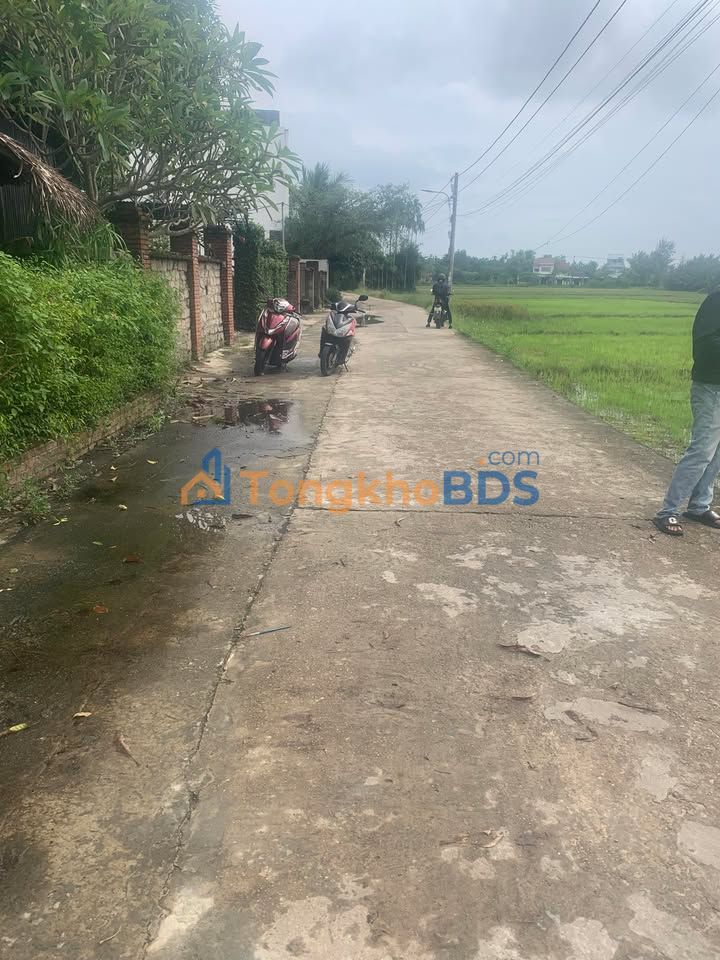 Đất nền Cẩm Thanh Hội An 400m² thỏa thuận - Tiềm năng tăng giá