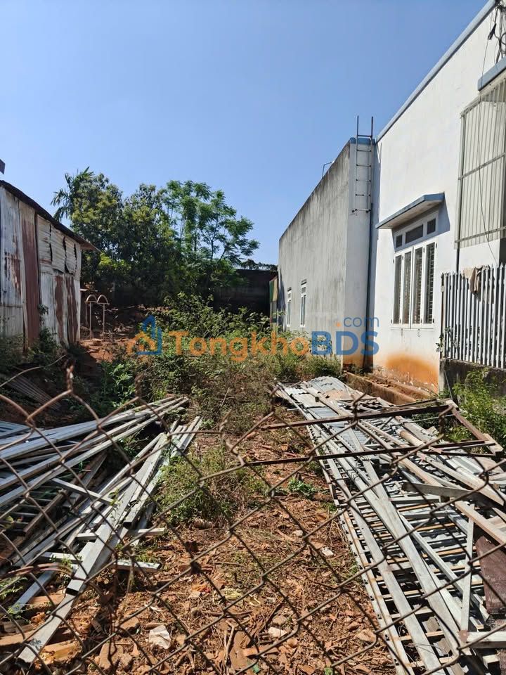 Đất 51 Mậu Thân Tân Hòa 295m² 4,2 tỷ - Pháp lý rõ ràng