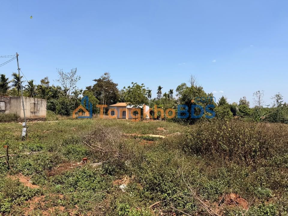 Đất nền Tân Lập Đắk Lắk 290m² 1.65 tỷ - Sổ đỏ chính chủ