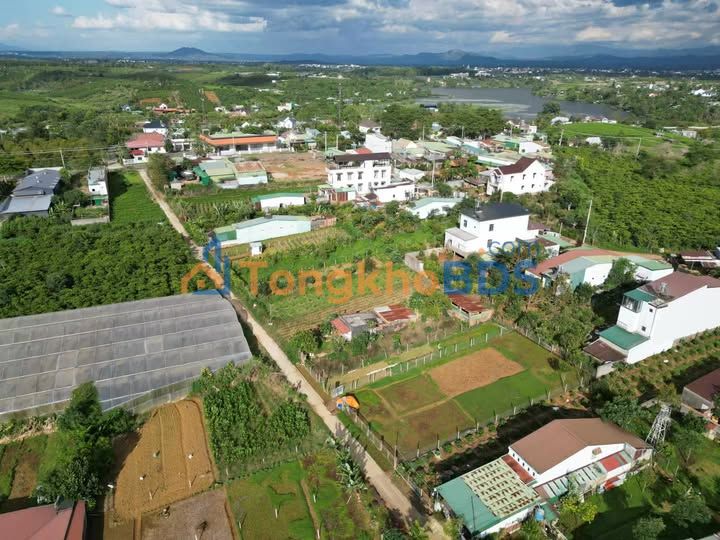 Đất Phường 2 Bảo Lộc 724m² 3.95 tỷ - Đường to ô tô