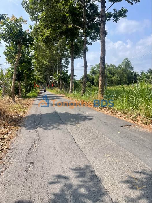Đất Vĩnh Long Trương Văn Kỉnh 168m2 - Đường to ô tô