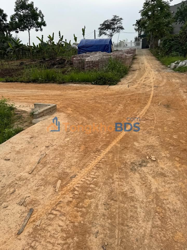 Đất nền Tân Phát, Tuyên Quang 136m² 1 tỷ - Thổ cư 100%