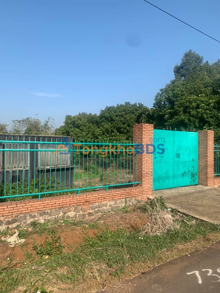 Cần bổ sung tiện ích Tín Nghĩa