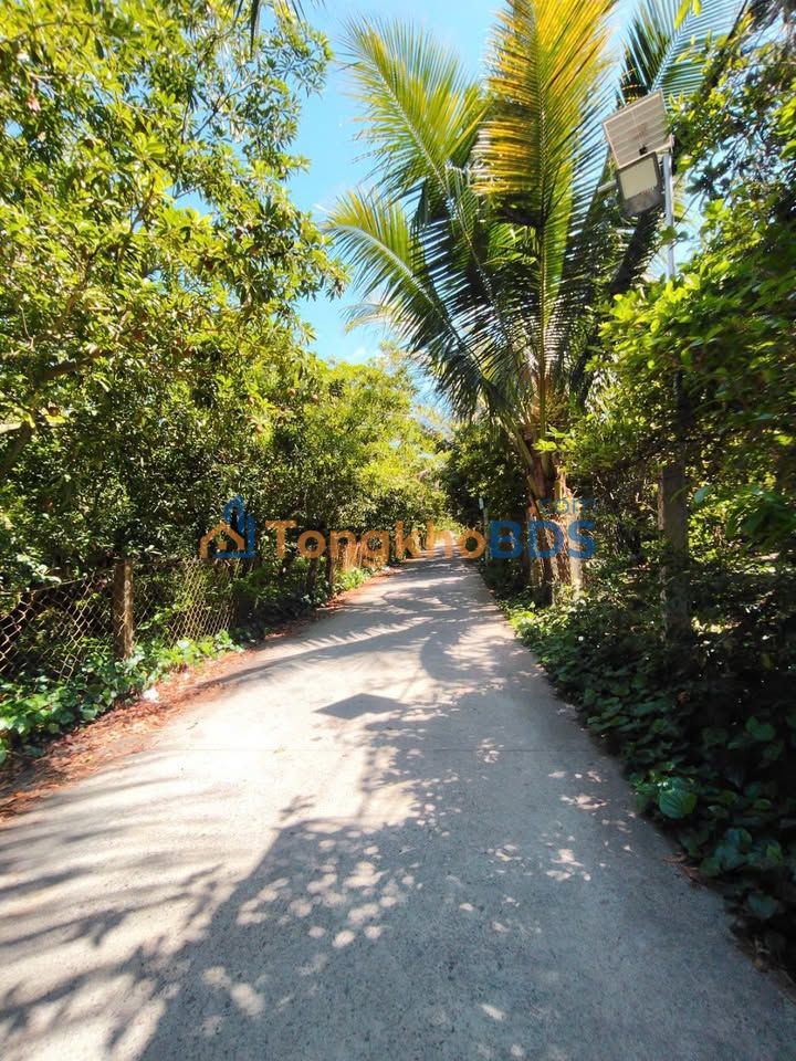 Đất nền Kim Sơn, Châu Thành 175m² 400tr - Sổ đỏ