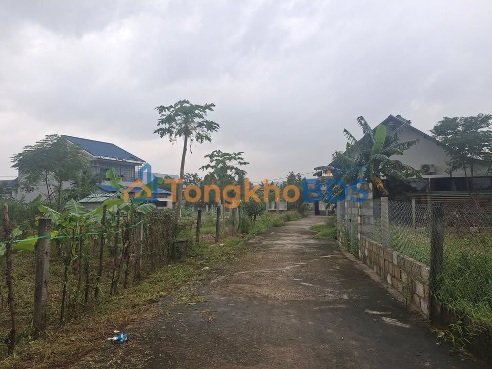 Đất nền Hòa Phong Hòa Vang 338m² 3 tỷ - Sổ đỏ chính chủ