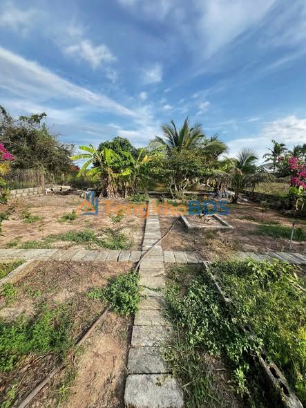 Đất nền Hàm Liêm 1333m2 giá 1 tỷ - Sổ đỏ chính chủ