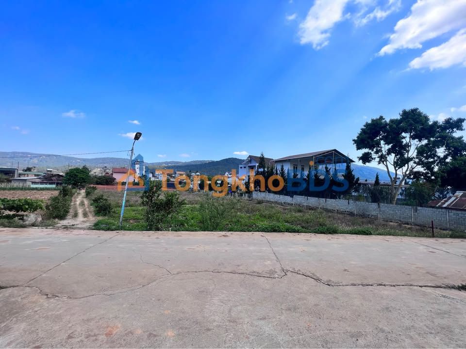 Đất Nền Ngoại Ô Đà Lạt 133m² Gần Rừng Thông - Sổ Hồng Riêng