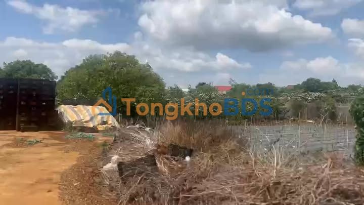 Đất nền Liên Hiệp, Đức Trọng 105,9m² 1,32 tỷ - Hạ tầng hoàn thiện