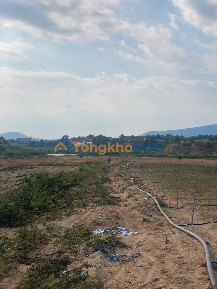 Đất Vườn 3000m² Bồng Lai, Đức Trọng - Sổ Hồng Riêng, Giá 1 Tỷ