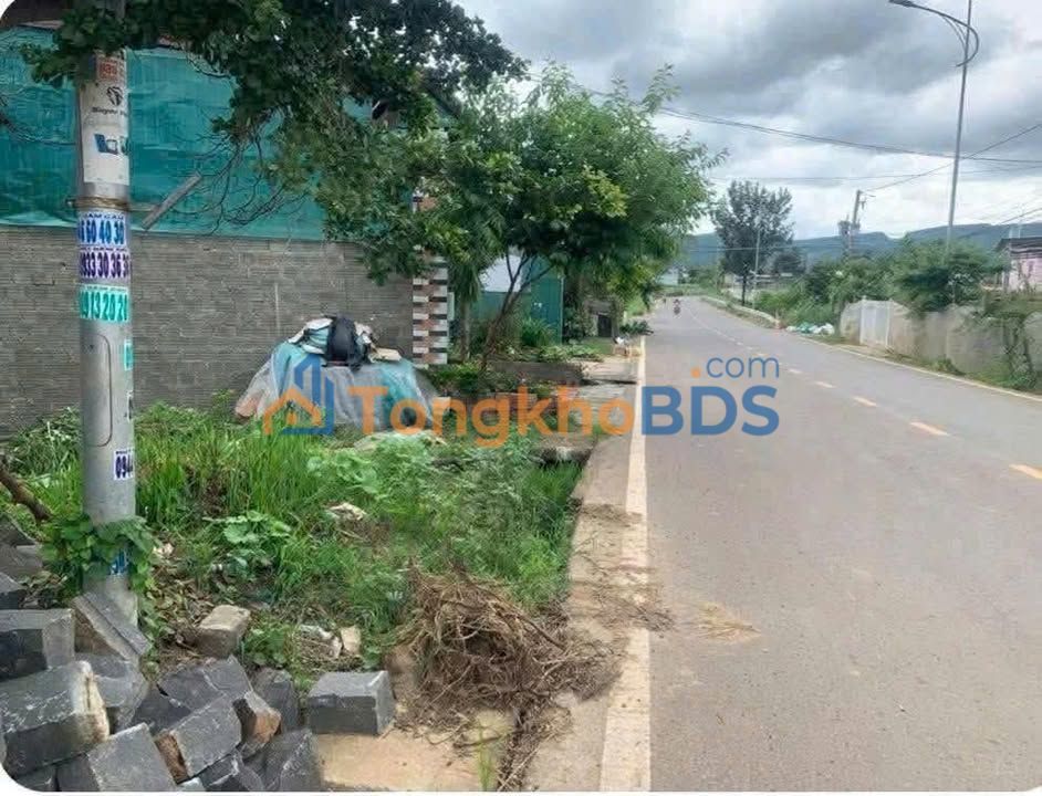 Đất nền Đức Trọng 2700m² - Mặt tiền đường nhựa, tiềm năng kinh doanh