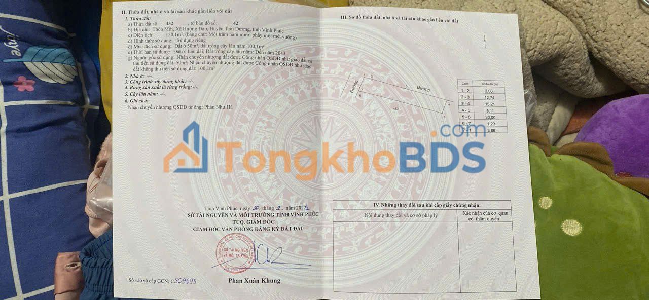 Đất nền Tam Dương, Vĩnh Phúc 150m² - Sổ đỏ sẵn, giá 1.6 tỷ