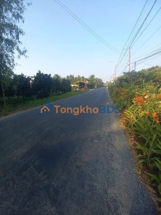 Đất nền Ngãi Tứ Tam Bình 4.2 công 1.344 tỷ - Sổ đỏ chính chủ