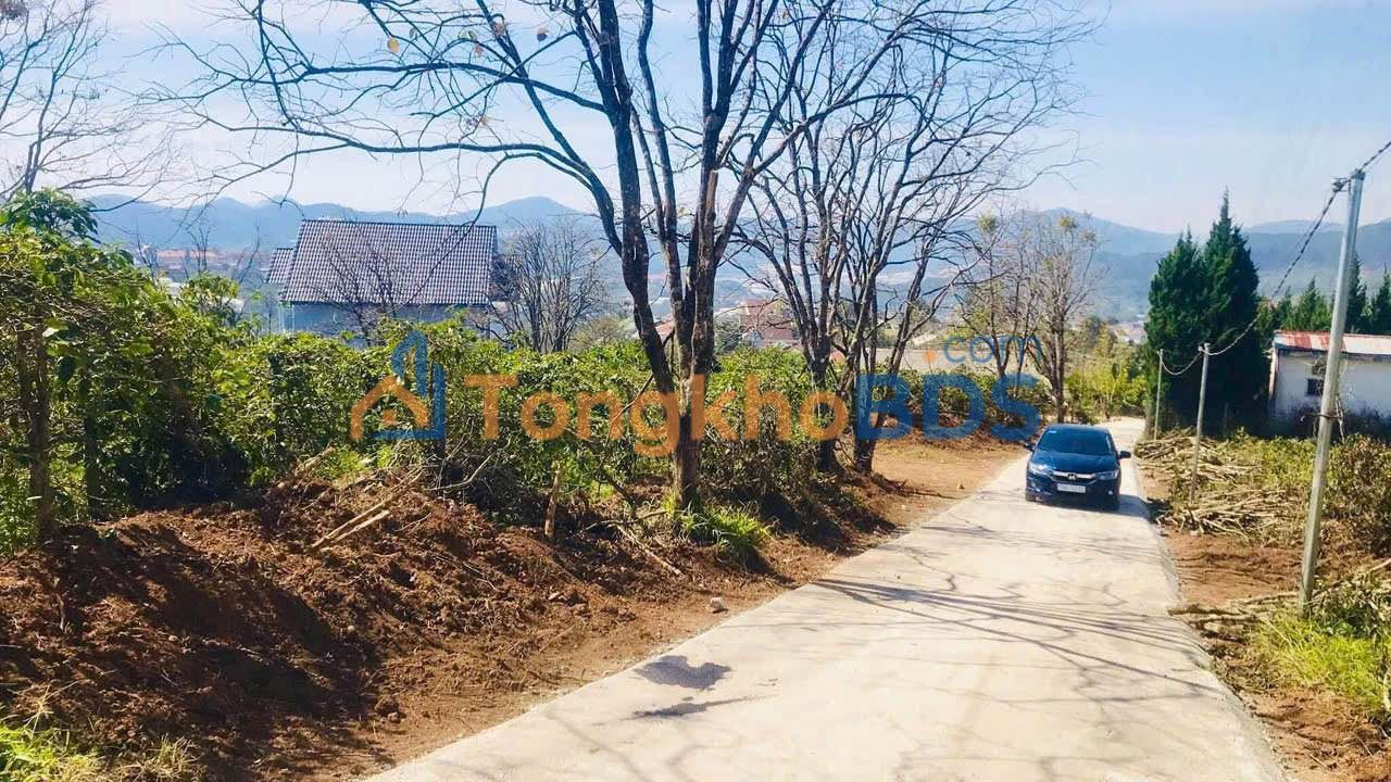 Đất nền Đạ Sar Lạc Dương 252m² 2.3 tỷ - Sổ đỏ chính chủ