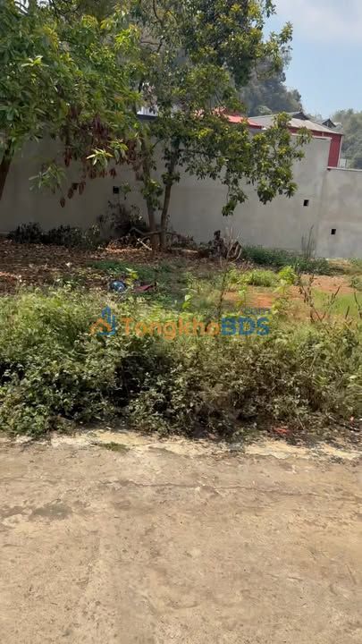 Đất Vàng Trung Tâm Mộc Châu 270m² - Sổ Đỏ 100% Thổ Cư, Giá Tốt