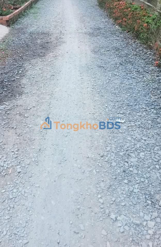 Bán Gấp Đất Vườn 1000m² Bến Tre - Vườn Dừa Trái Quanh Năm, Sổ Đỏ Chính Chủ