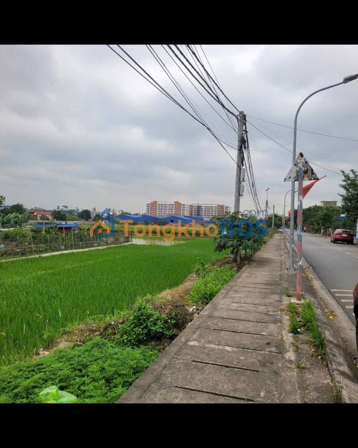 Đất Nền Mặt Tiền 107m² Quận Hồng Bàng - Giá Tốt, Sẵn Sổ