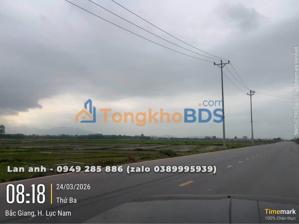 Đất nền Việt Yên 280m² - Sổ vuông nở hậu, giá 2 tỷ đầu tư sinh lời