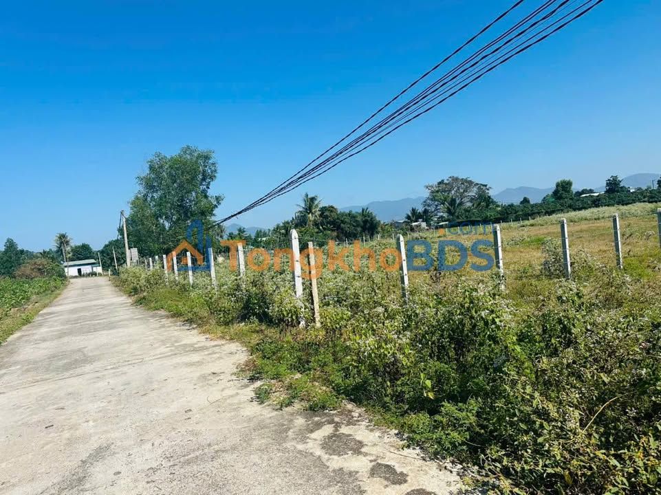 Bán Đất Suối Tiên Diên Khánh 974m² - Sổ Sẵn, Giá Đầu Tư 1.43 Tỷ