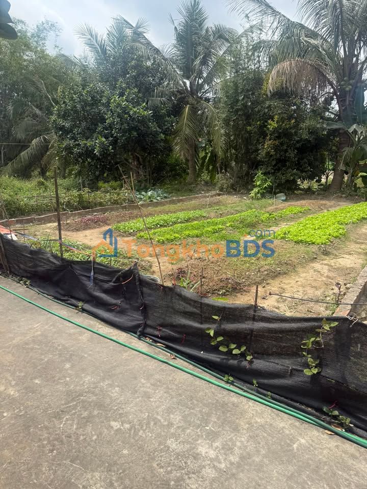 Đất nền 80m² Phường Thiên Hương, Thủy Nguyên - Sổ đỏ sẵn, giá 890 triệu