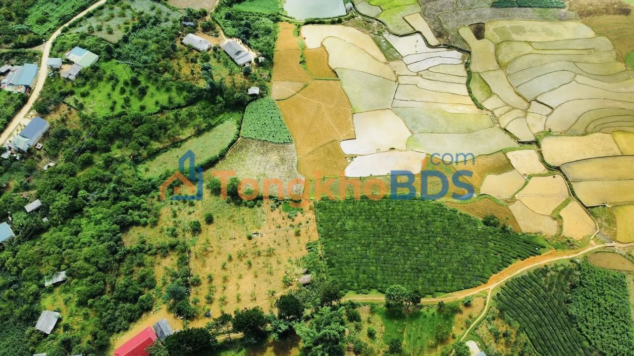 Đất Nền Vân Hồ 4300m² View Cánh Đồng - Giá Đầu Tư 5.x Tỷ