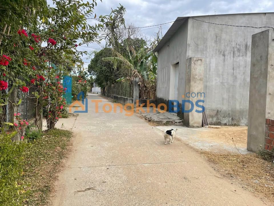 Đất thổ cư 380m² thôn Kon Rờ Bàng, Đắk Tô - Giá 1.1 tỷ