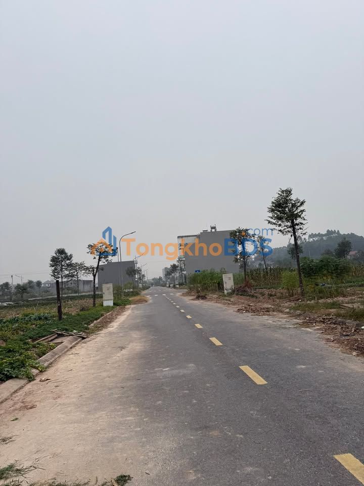 Bán Gấp Đất Lô Nam 75m² Quốc Lộ 31, Bắc Giang - Chỉ 2.4 Tỷ