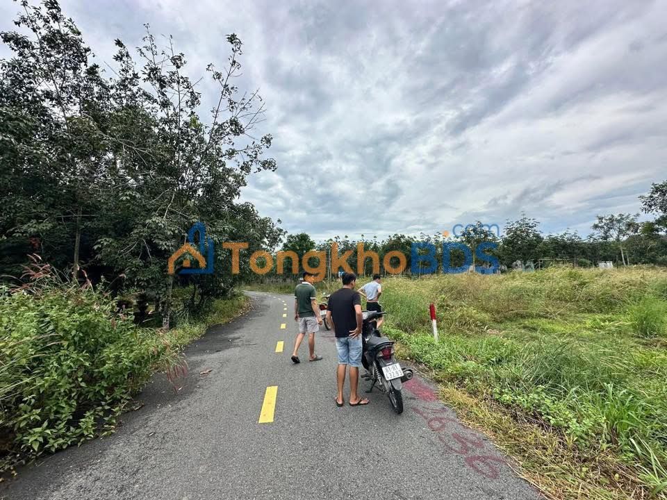 Đất Nền 165m² Bàu Bàng - Giá Tốt 7 Tỷ | Sổ Hồng Sẵn