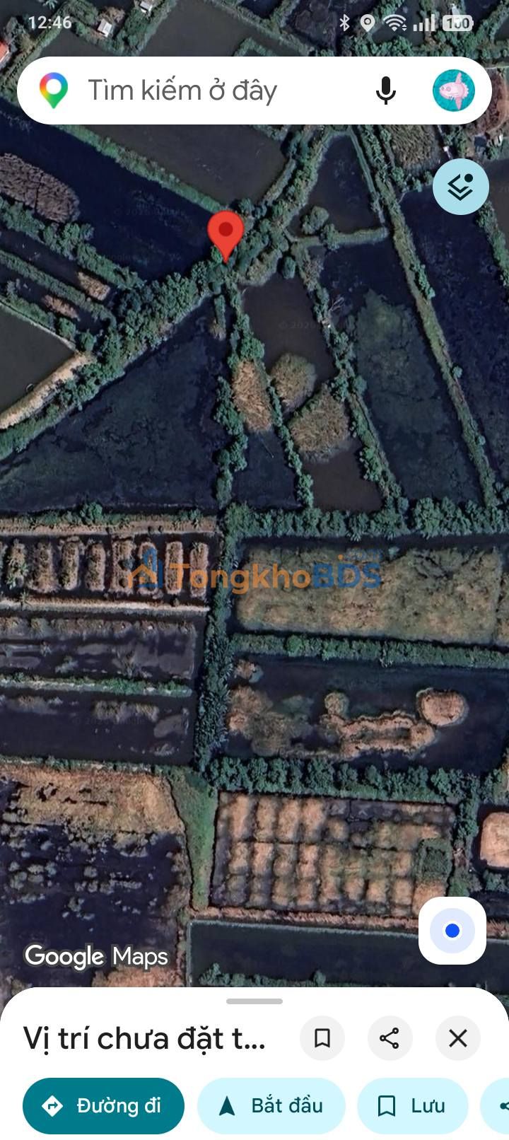 Đất nền Cà Mau Khóm 5 4.369m² 1,529 tỷ - Sổ đỏ