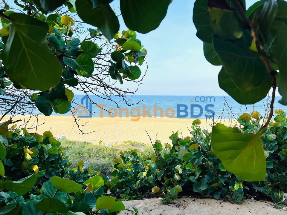 Đất thổ cư 125m² Hoài Hải, Bình Định - Giá rẻ, ô tô vào tận nơi