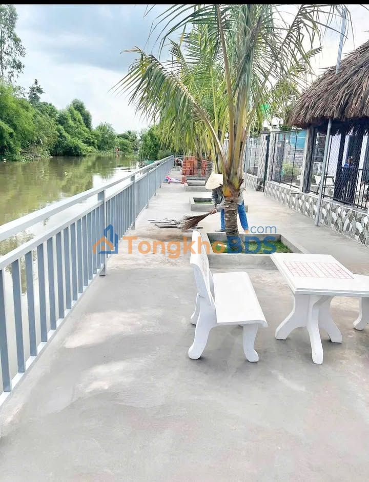 Bán Gấp Nhà Vườn Sinh Thái Phong Điền 3024m² - Giá Tốt 12.5 Tỷ