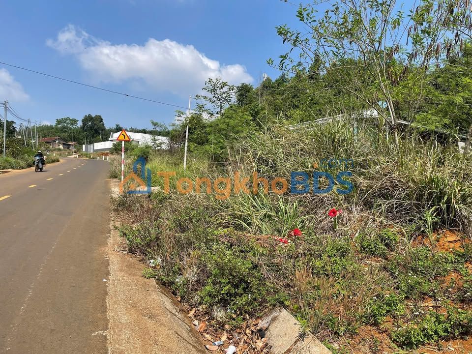 Đất Vàng Đắk Nông: 350m² Đạo Nghĩa Mặt Tiền Rộng 10m - Giá 35 Tỷ